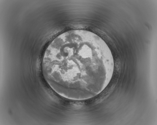 X0000112820359200910021207