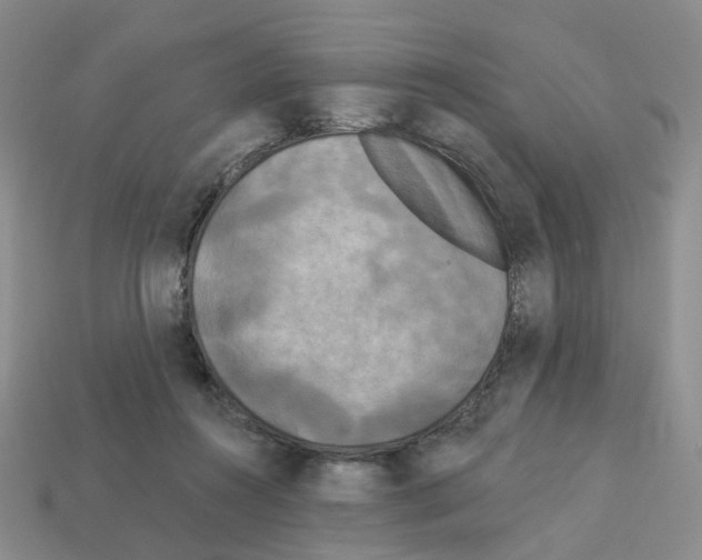 X0000112820360200910021207