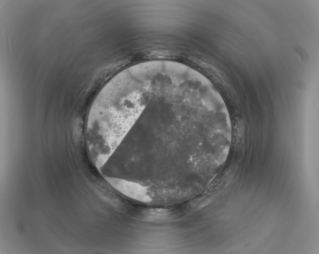 X0000112820361200910021207