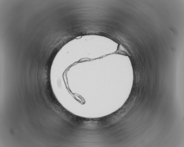 X0000112820362200910021207