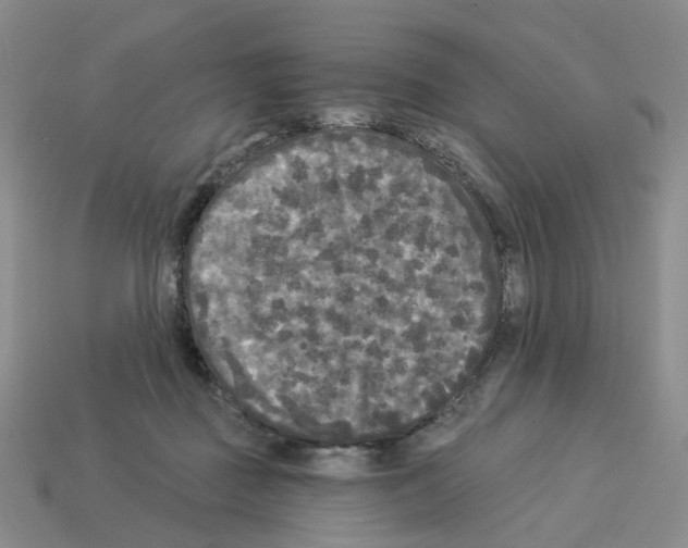 X0000112820363200910021207