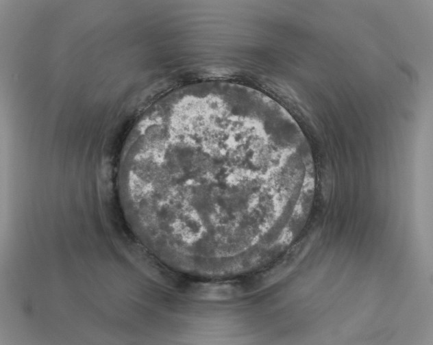 X0000112820366200910021207