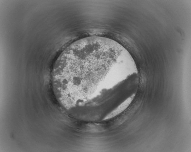 X0000112820367200910021207