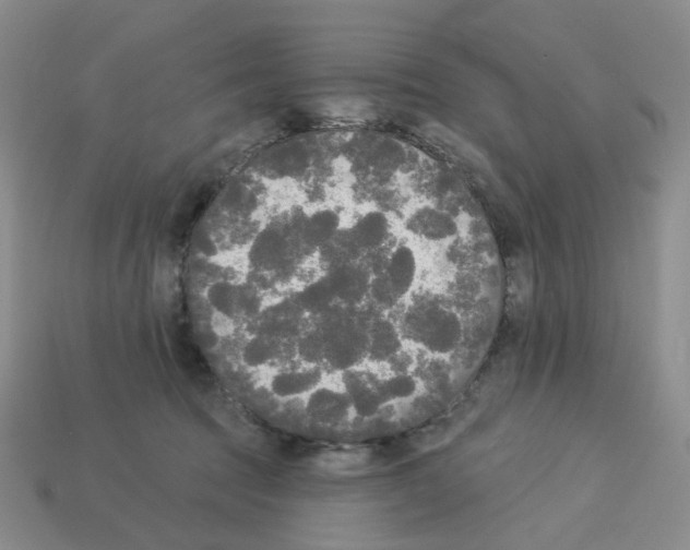 X0000112820369200910021207