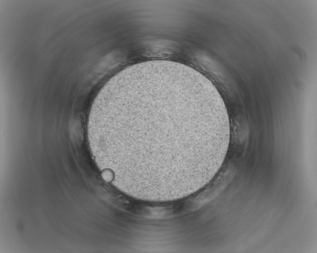 X0000112820370200910021207