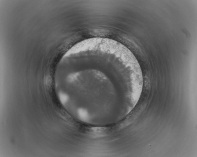 X0000112820371200910021207