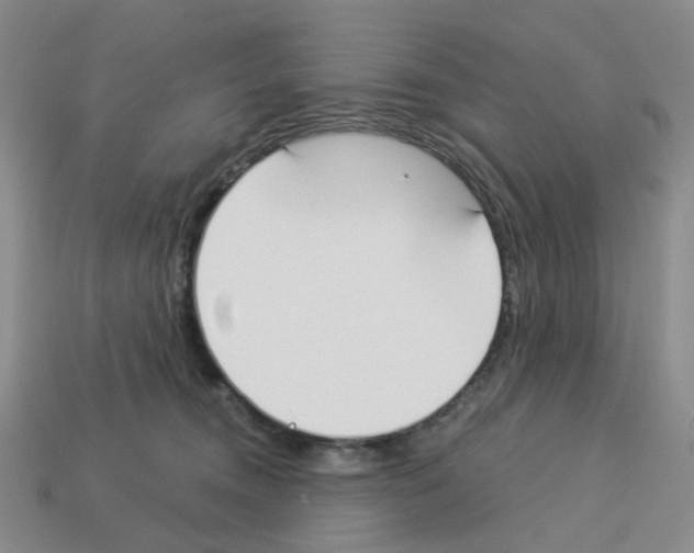 X0000112820372200910021207