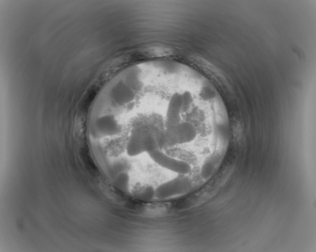 X0000112820373200910021207