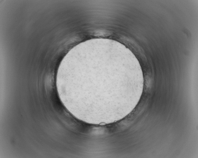 X0000112820376200910021207