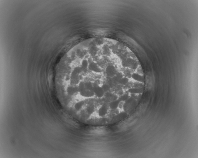 X0000112820377200910021207