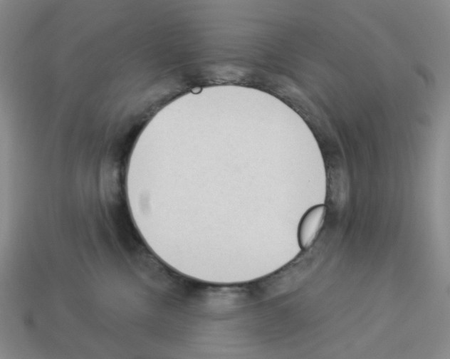 X0000112820378200910021207