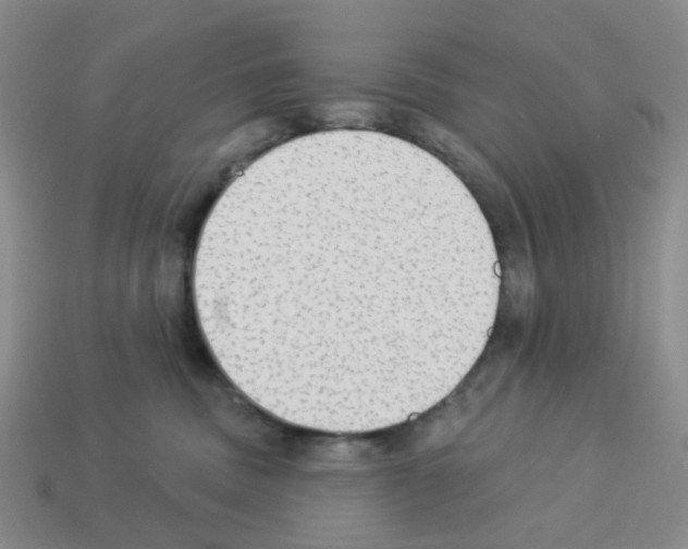 X0000112820379200910021207