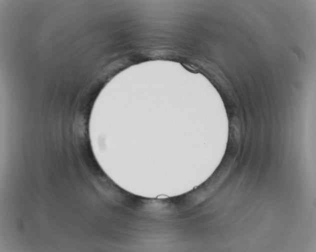 X0000112820380200910021207