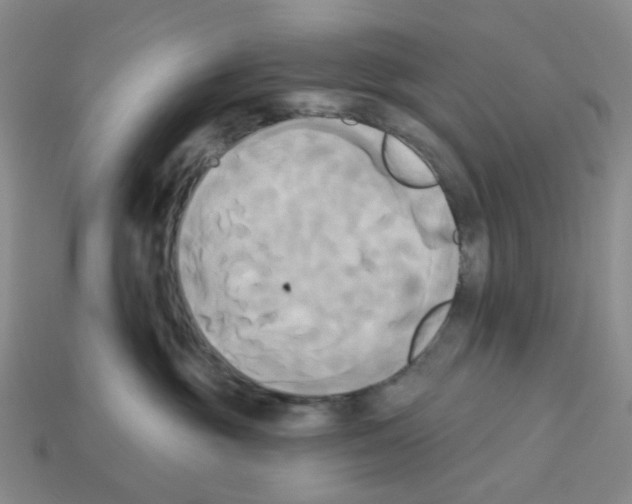 X0000112820381200910021207