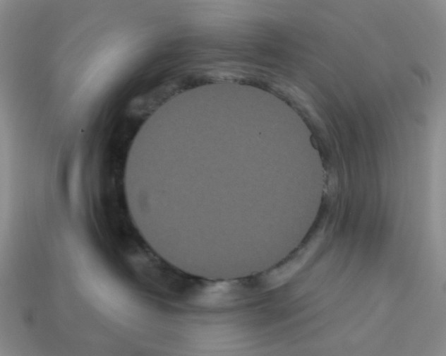 X0000112820382200910021207