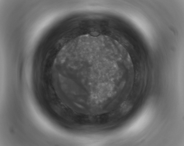 X0000112820383200910021207