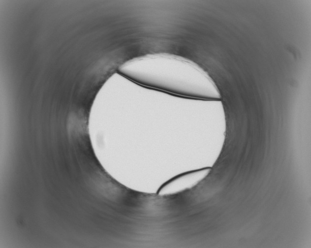 X0000112820384200910021207