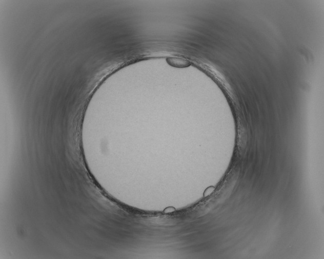 X0000112820385200910021206