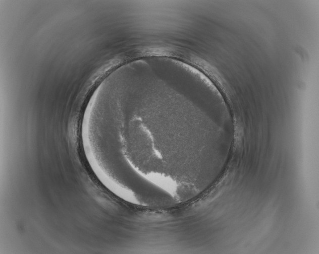 X0000112820386200910021206