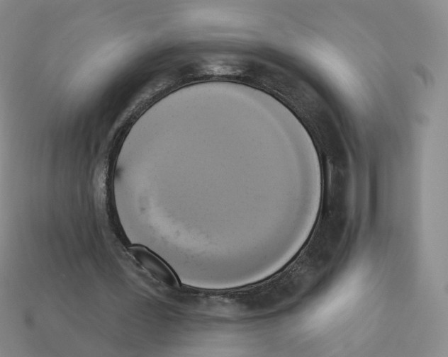 X0000112820387200910021206