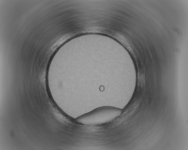 X0000112820389200910021206