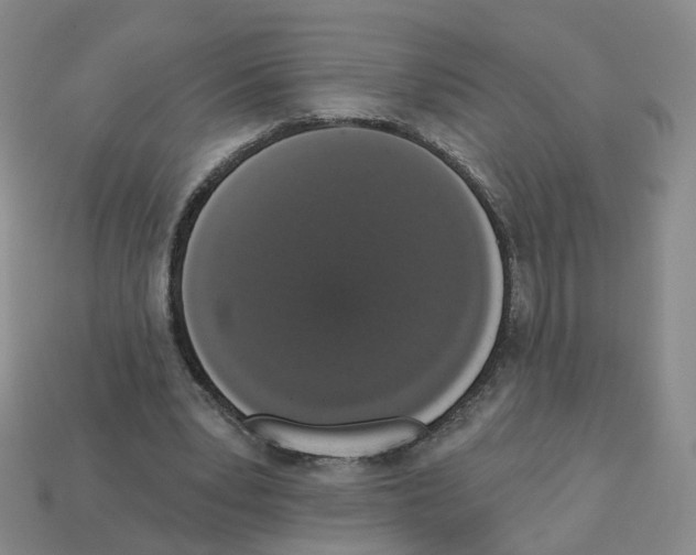 X0000112820391200910021206