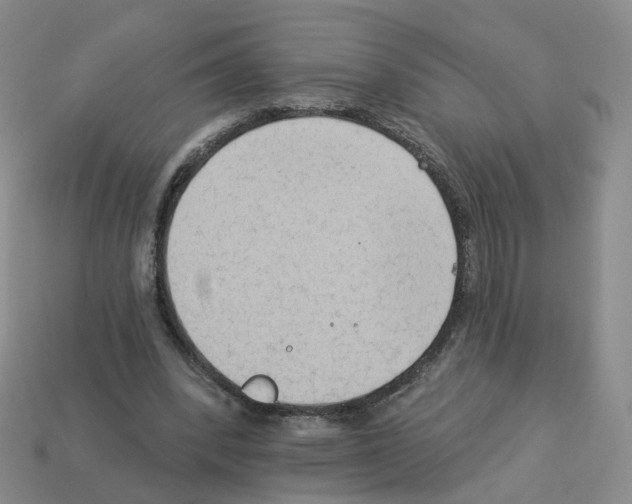 X0000112820392200910021206