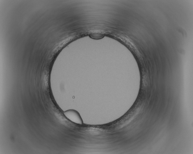 X0000112820393200910021206