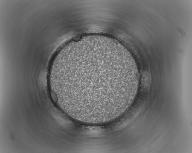 X0000112820395200910021206