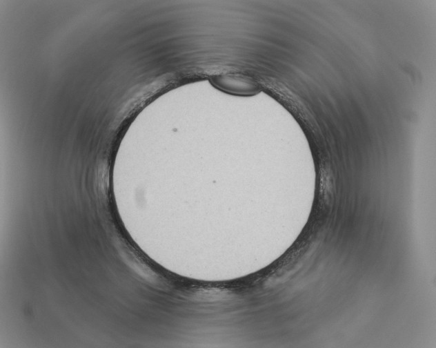 X0000112820397200910021206