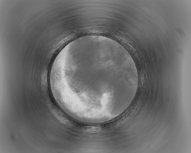 X0000112820398200910021206