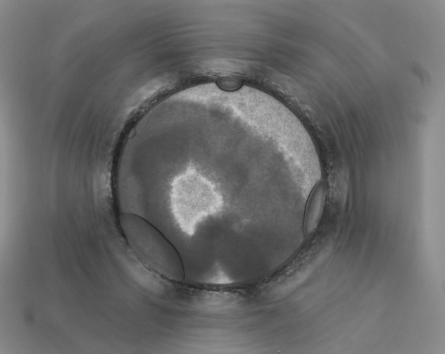 X0000112820399200910021206