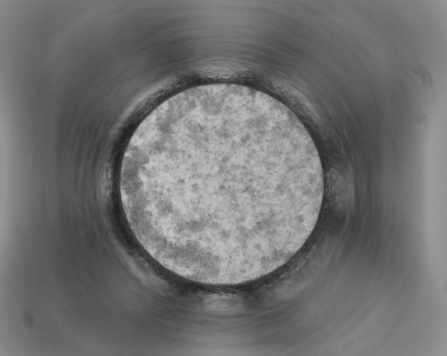 X0000112820400200910021206