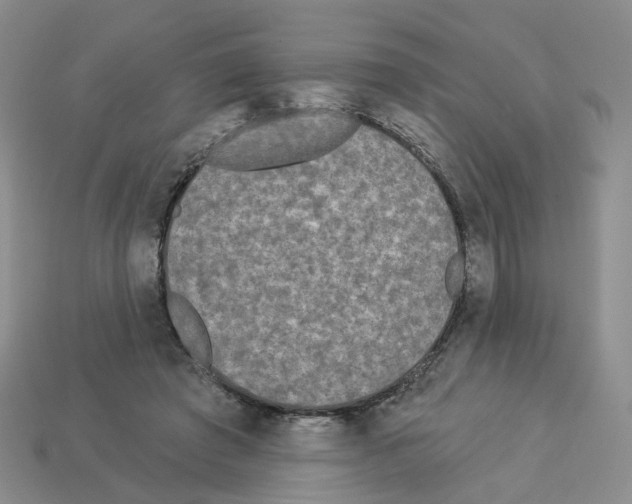 X0000112820401200910021206