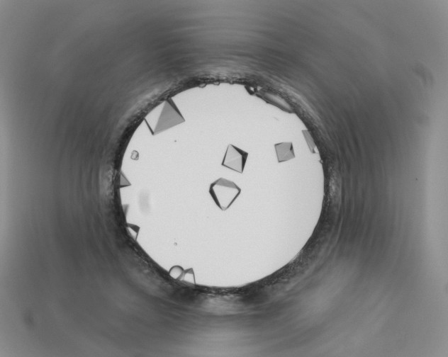 X0000112820403200910021206