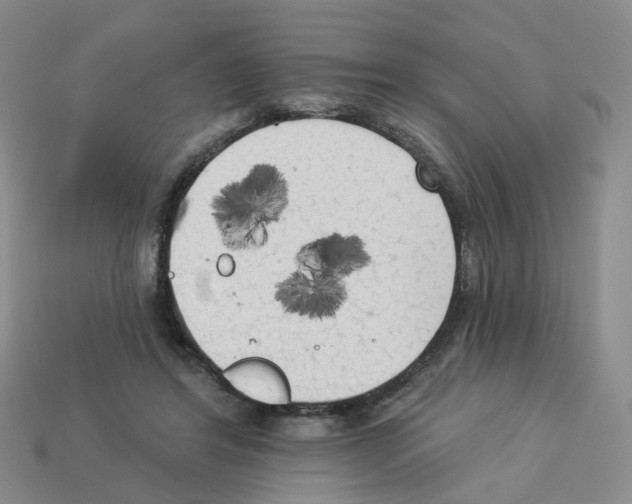 X0000112820404200910021206