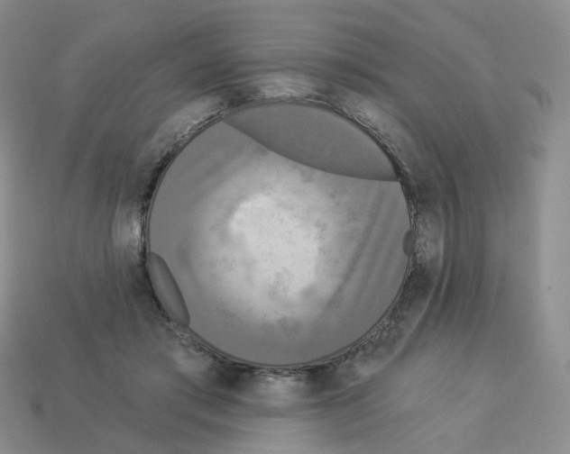 X0000112820405200910021206