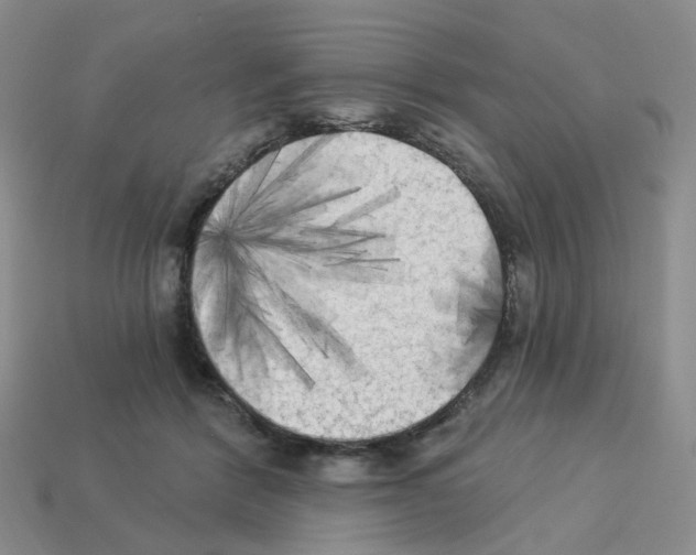 X0000112820412200910021206