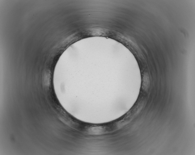 X0000112820413200910021206