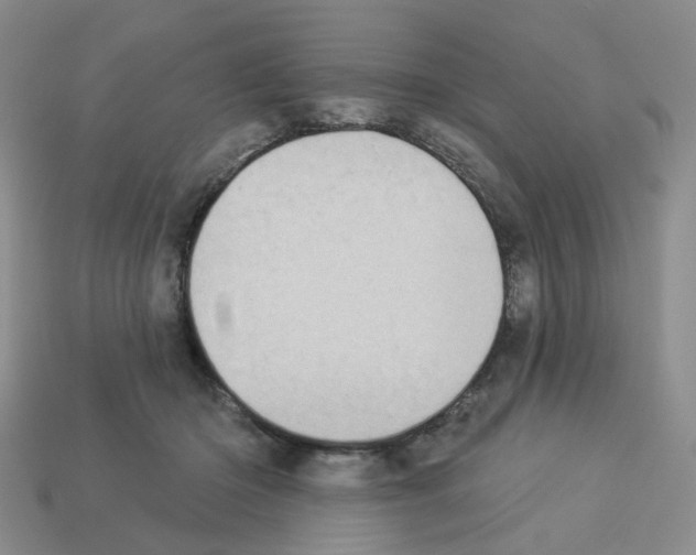 X0000112820414200910021206