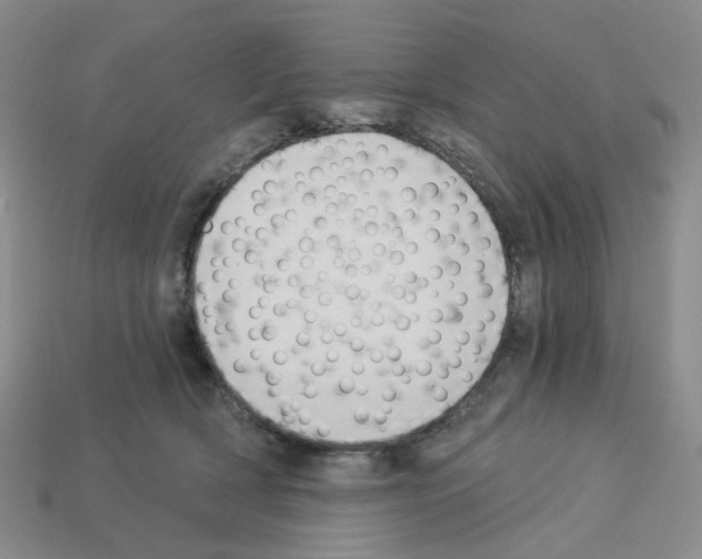 X0000112820418200910021206