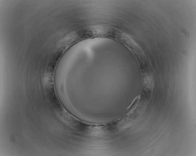 X0000112820419200910021206