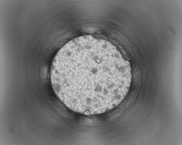 X0000112820420200910021206