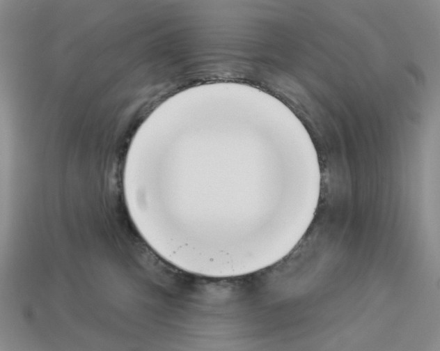 X0000112820423200910021206