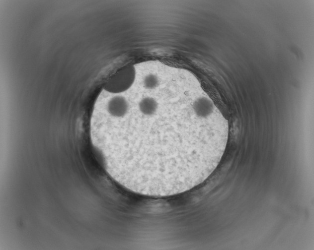 X0000112820424200910021206