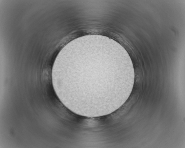 X0000112820425200910021206