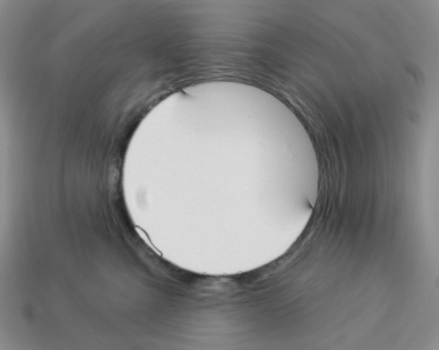 X0000112820427200910021206