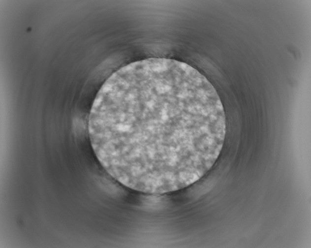 X0000112820432200910021206