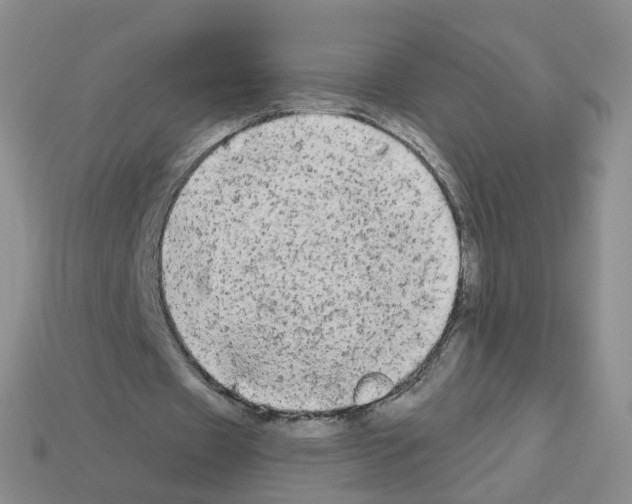 X0000112820433200910021205