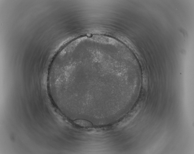 X0000112820434200910021205